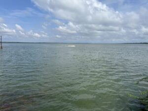 Pulicat Lake, Nellore, Andhra Pradesh